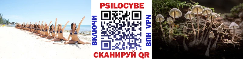 hydra ONION  Новое Девяткино  Галлюциногенные грибы Cubensis 